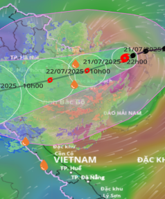 bao-so-3-wipha-do-bo-bac-bo-cap-nhat-khan-cap-ngay-227